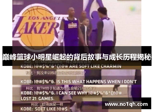 巅峰篮球小明星崛起的背后故事与成长历程揭秘